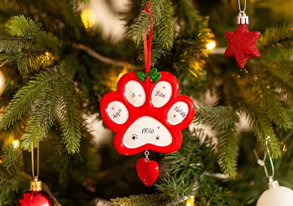 Christmas The Original Paw Outlet